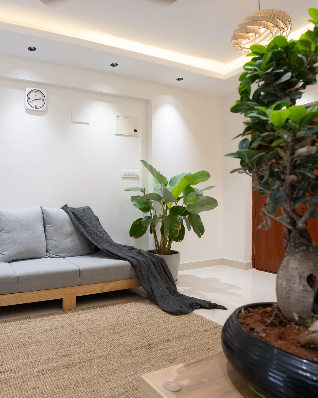 Living corner with grey sofa and bonsai planter — The Aakar